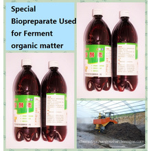 seaweed bio organic ferment used for disposing organic matters